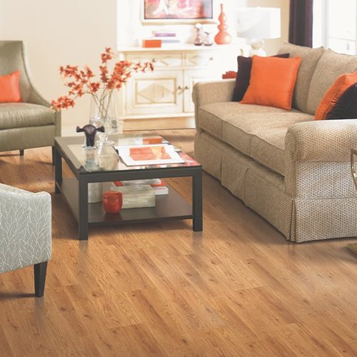 Contemporary laminate in Tuttle, OK from The Carpet Store