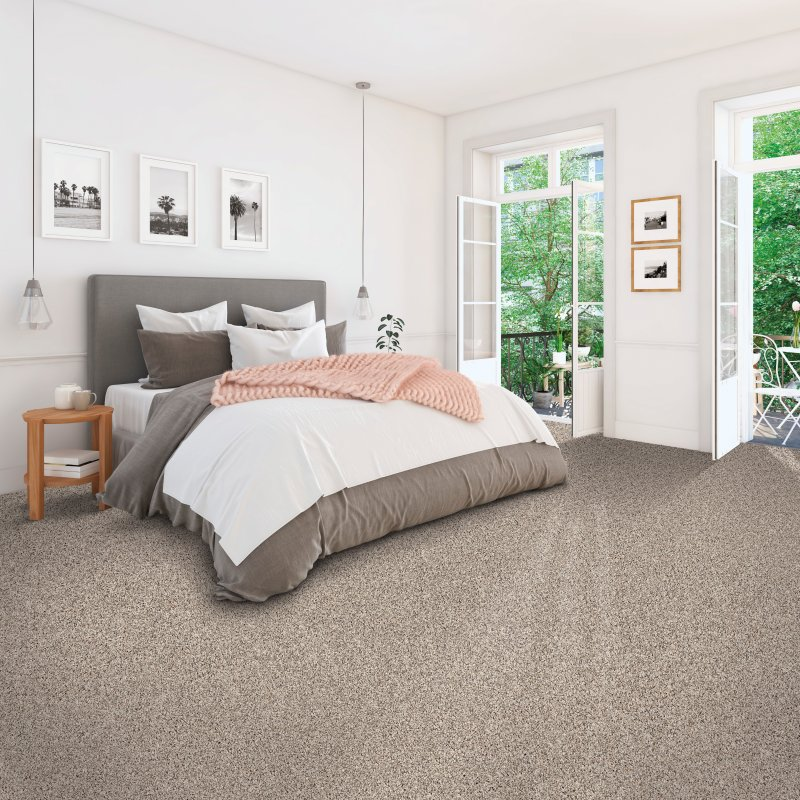 The Carpet Store providing stain-resistant pet proof carpet in Oklahoma City, OK - Engaging Character-Overcast